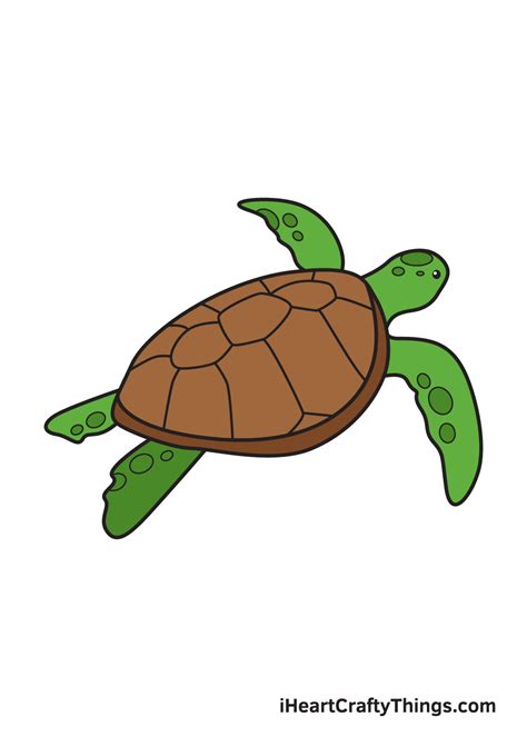 Turtle Drawing Images – Browse 130,582 Stock Photos, Vectors, .